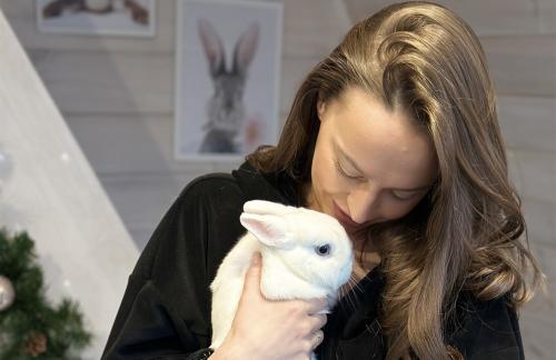 Дом с кроликами "Bunny Housе" со скидкой 20%