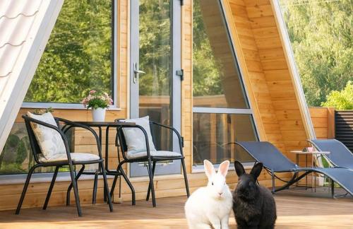 Дом с кроликами "Bunny Housе" со скидкой 20%